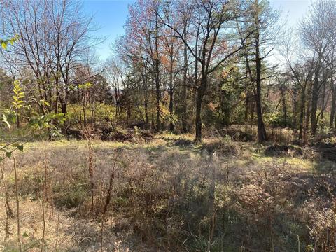 4 Topwood, Manchester, MO 63011 photo 3