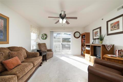 3203 Spring Creek Ln, O'fallon, MO 63368 photo 9