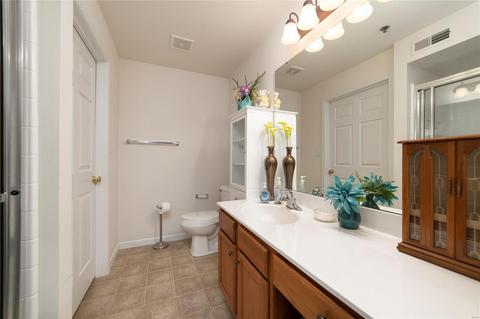 3203 Spring Creek Ln, O'fallon, MO 63368 photo 18