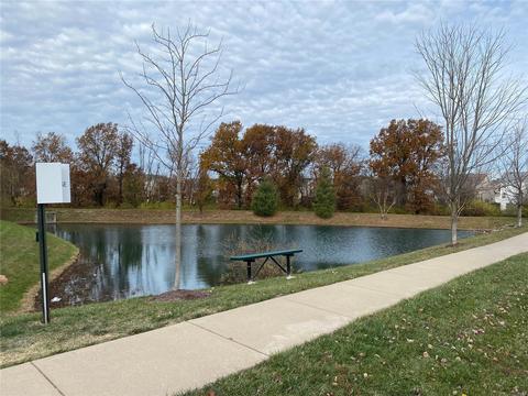 3203 Spring Creek Ln, O'fallon, MO 63368 photo 30