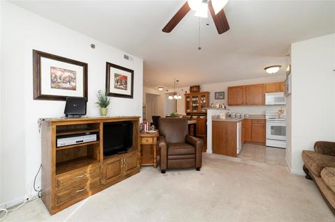 3203 Spring Creek Ln, O'fallon, MO 63368 photo 11