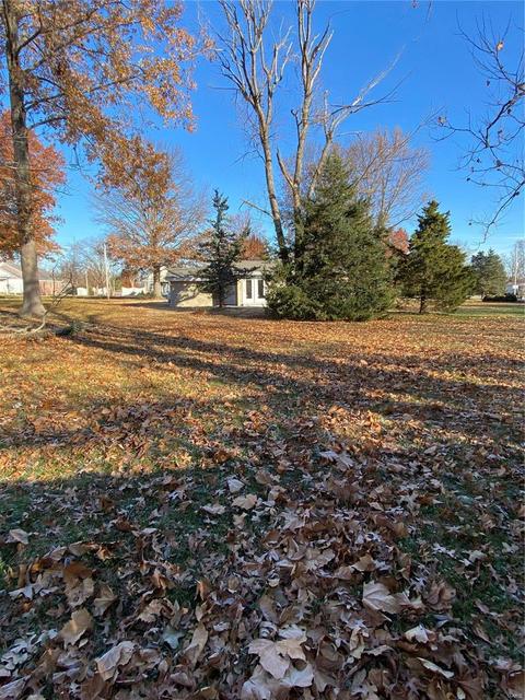 306 Lorene Dr, O'fallon, MO 63366 photo 13