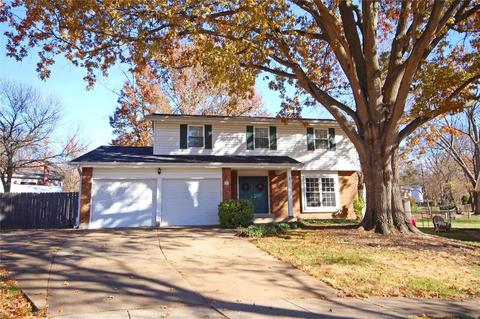 5 Cottagemill Ct, Manchester, MO 63021 photo 1