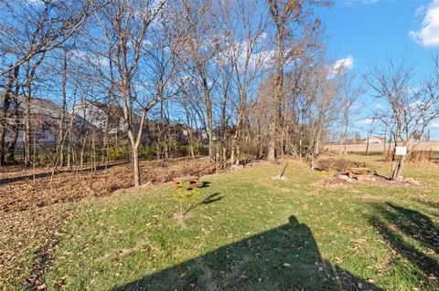 210 Spring Borough Dr, O'fallon, MO 63368 photo 24