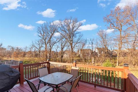 210 Spring Borough Dr, O'fallon, MO 63368 photo 22