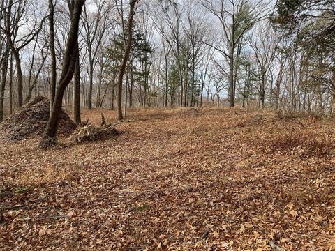 17275 Hohmann Rd, Glencoe, MO 63038 photo 1