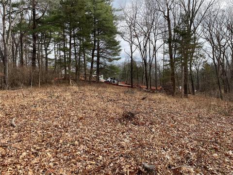 17275 Hohmann Rd, Glencoe, MO 63038 photo 7