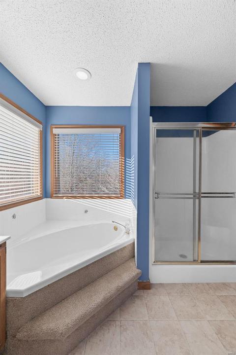 46 Dunmore Cir, O'fallon, MO 63368 photo 33