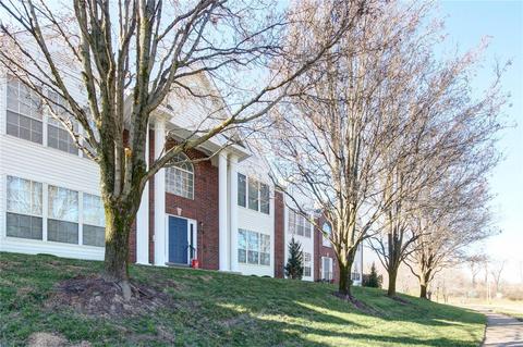 1610 Forest Springs Ln #B, Ballwin, MO 63021 photo 3