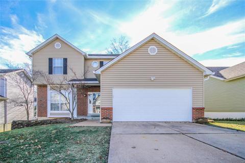 1067 Johanna Dr, Ballwin, MO 63021 photo 31