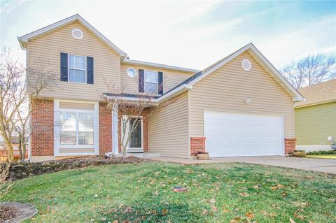 1067 Johanna Dr, Ballwin, MO 63021 photo 1