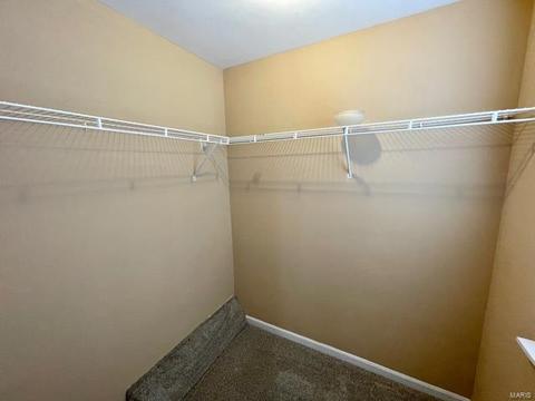 703 Hyde Dr, O'fallon, MO 63366 photo 8