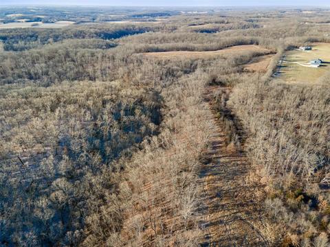 236 Quarry Rd, Silex, MO 63377 photo 1