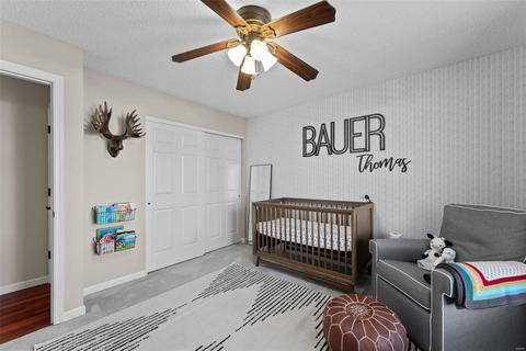 6 Coalter Ct, O'fallon, MO 63368 photo 24