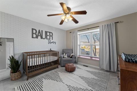 6 Coalter Ct, O'fallon, MO 63368 photo 23