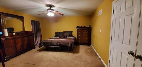 117 Wabash Spur Dr, O'fallon, MO 63366 photo 13