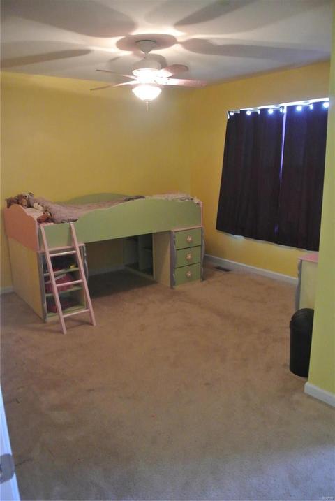 117 Wabash Spur Dr, O'fallon, MO 63366 photo 17