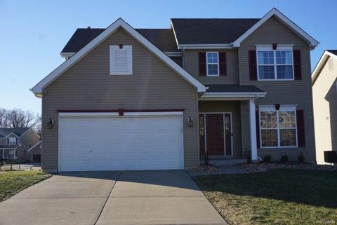 117 Wabash Spur Dr, O'fallon, MO 63366 photo 1