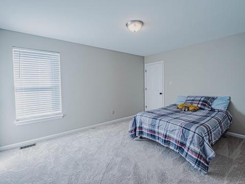 402 Copper Tree Trl, O'fallon, MO 63368 photo 23