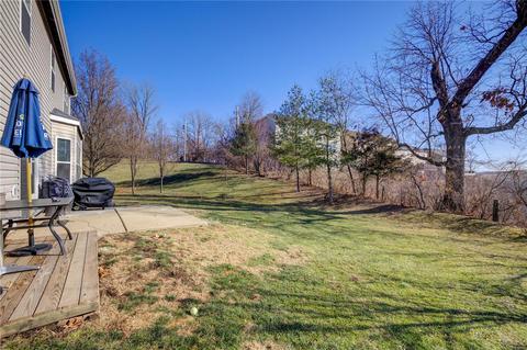 389 Carr Manor Ct, Ballwin, MO 63021 photo 20