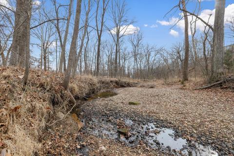 1 Duddin Ct, Manchester, MO 63021 photo 29