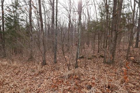 3402 Kentch Rd, Festus, MO 63028 photo 1