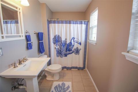 247 Centerfield Dr, O'fallon, MO 63366 photo 19