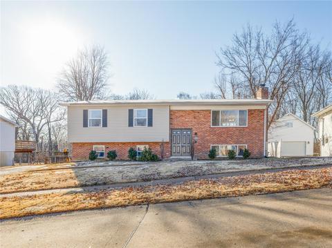 1306 Wissman Dr, Ballwin, MO 63011 photo 1