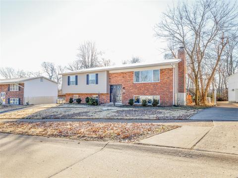 1306 Wissman Dr, Ballwin, MO 63011 photo 3