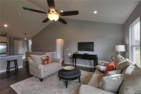 219 Old Schaeffer, O'fallon, MO 63366 photo 5