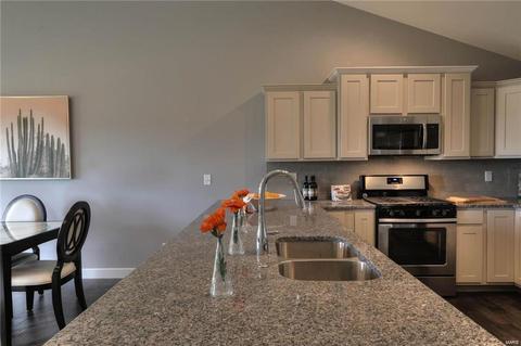 219 Old Schaeffer, O'fallon, MO 63366 photo 7