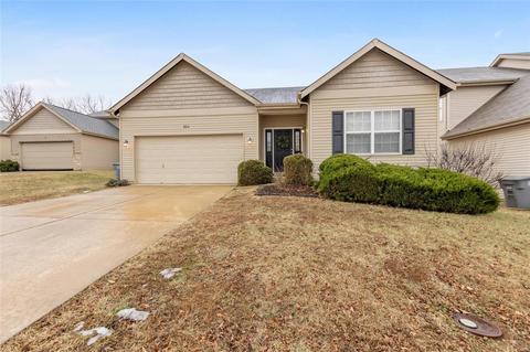 904 Daffodil Trl, O'fallon, MO 63368 photo 1