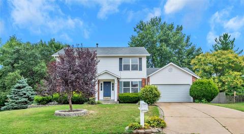 24 President Dr, O'fallon, MO 63368 photo 1