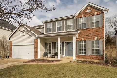 365 Carr Manor Ct, Ballwin, MO 63021 photo 34