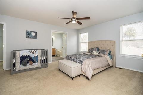 365 Carr Manor Ct, Ballwin, MO 63021 photo 19