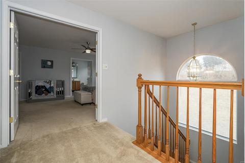 365 Carr Manor Ct, Ballwin, MO 63021 photo 18