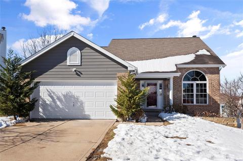 33 Hickory Mound Ct, Wildwood, MO 63011 photo 2