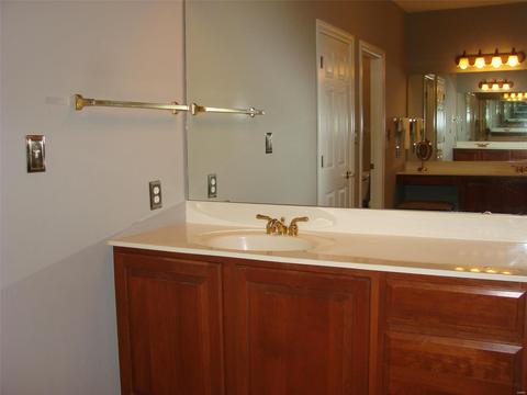 119 Wake Forest Pl, O'fallon, MO 63368 photo 41