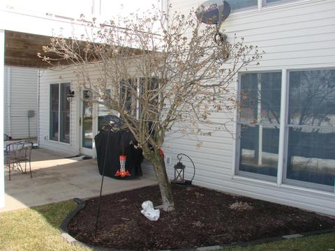119 Wake Forest Pl, O'fallon, MO 63368 photo 54
