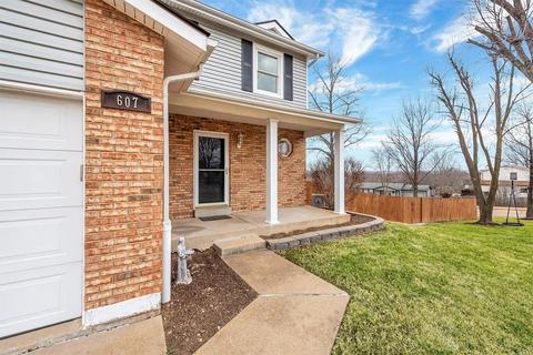 607 Wallach Dr, Eureka, MO 63025 photo 26