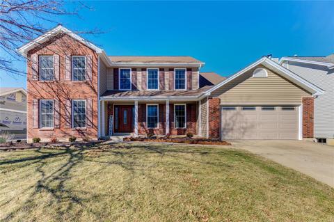 7317 Nelsons Mill Dr, O'fallon, MO 63368 photo 1