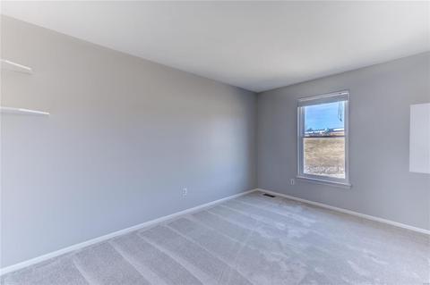 7317 Nelsons Mill Dr, O'fallon, MO 63368 photo 17