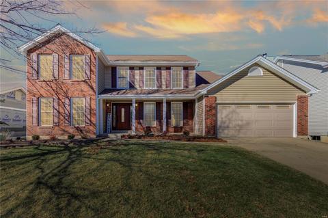 7317 Nelsons Mill Dr, O'fallon, MO 63368 photo 27