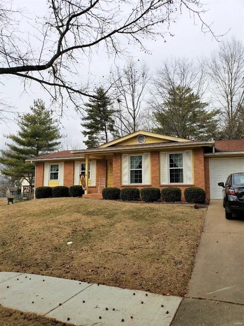 3 Cottagemill Ct, Manchester, MO 63021 photo 2