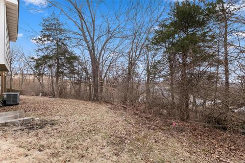 227 Walden Ct, Eureka, MO 63025 photo 45