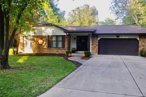 1015 Providence, Ellisville, MO 63011 photo 16