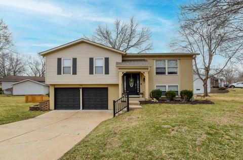 939 Bellestri Dr, Ballwin, MO 63021 photo 1