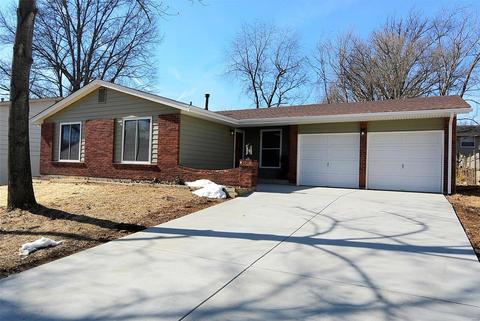 541 Braebridge Rd, Manchester, MO 63021 photo 1