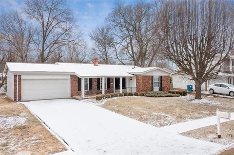 419 Auber, Manchester, MO 63011 photo 28