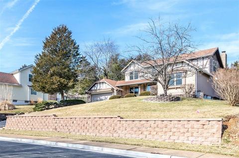 16619 Evergreen Frst, Wildwood, MO 63011 photo 6